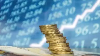 الدخل السلبي