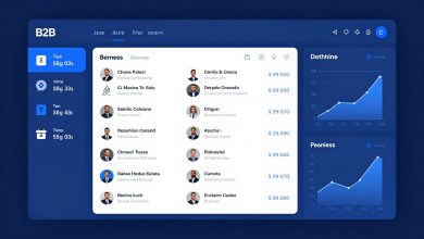 B2B Directories dashboard showing business listings and subscription plans